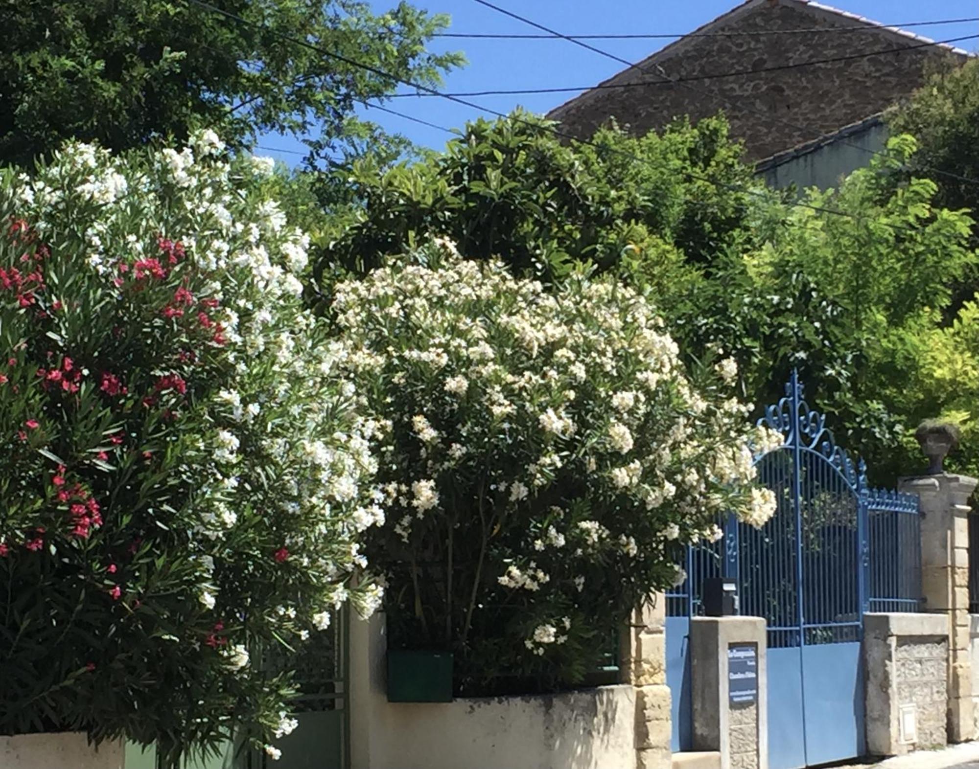 Chambre D'Hotes Lo Componairo Pouzols Exterior foto